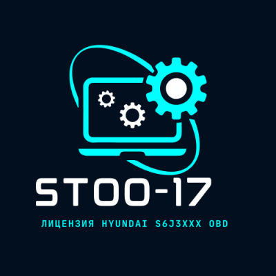 Лицензия ST017 (Hyundai S&T Motiv OBD2)